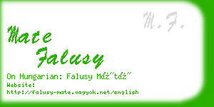 mate falusy business card